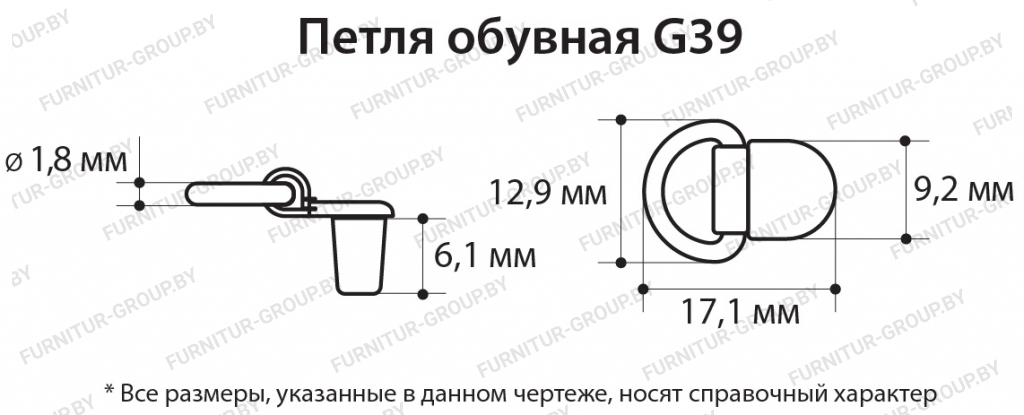 Петля обувная G39.jpg